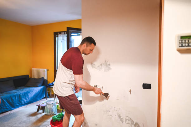 Best Kitchen Mold Remediation in West End, NY